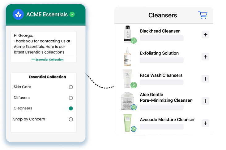Audience Segmentation